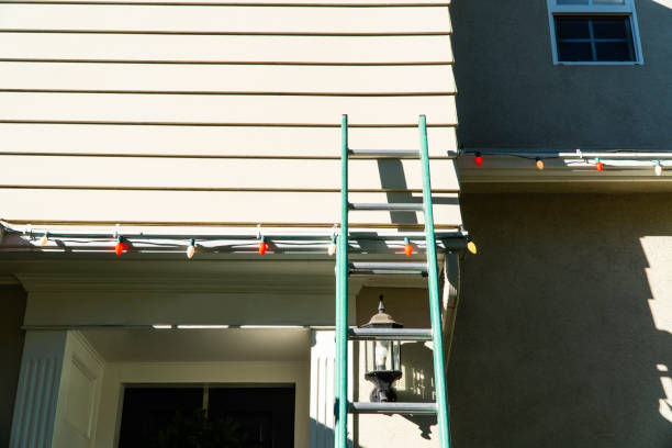 Affordable siding repair and maintenance services in Walls, MS