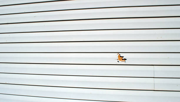 Best Stone Veneer Siding  in Walls, MS