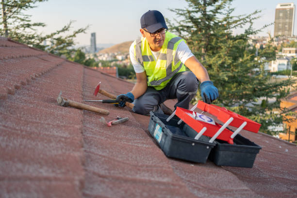 Best Storm Damage Siding Repair  in Walls, MS
